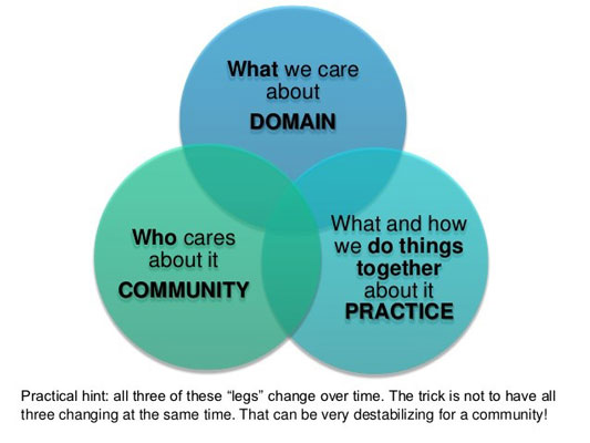 COPs involve a shared domain of concern, a community of people and evolving practices